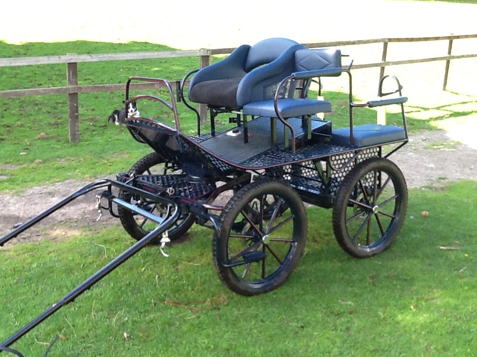 Rene schoop carriage