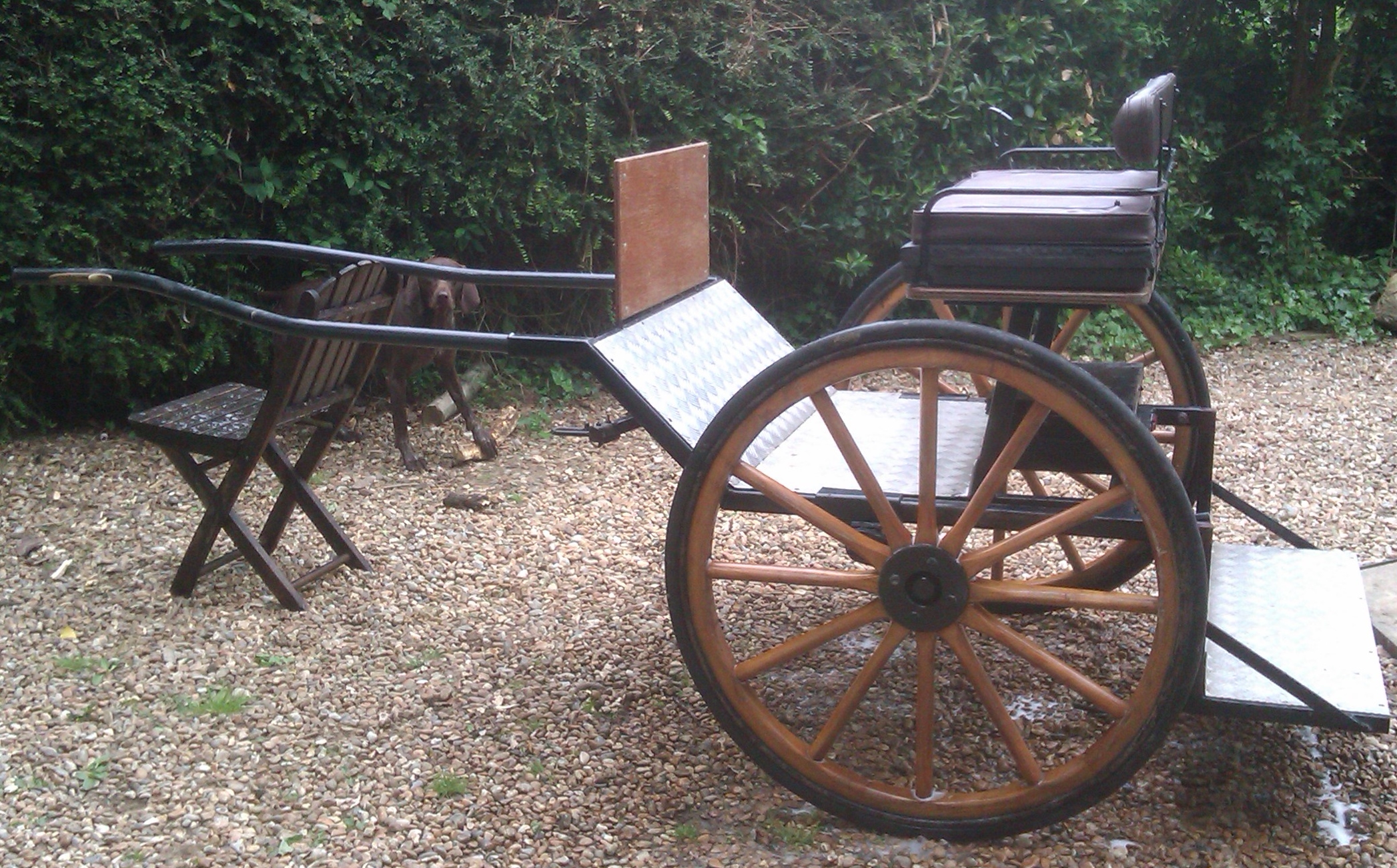 Dick Carey cart