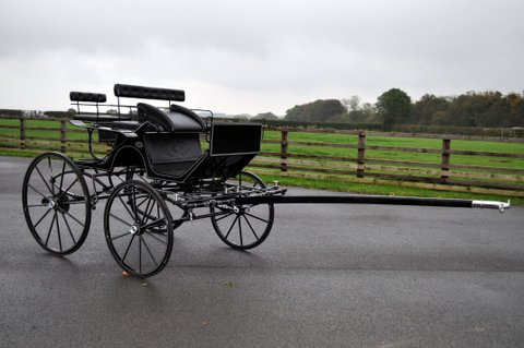 Kuhnle Dressage Carriage 2