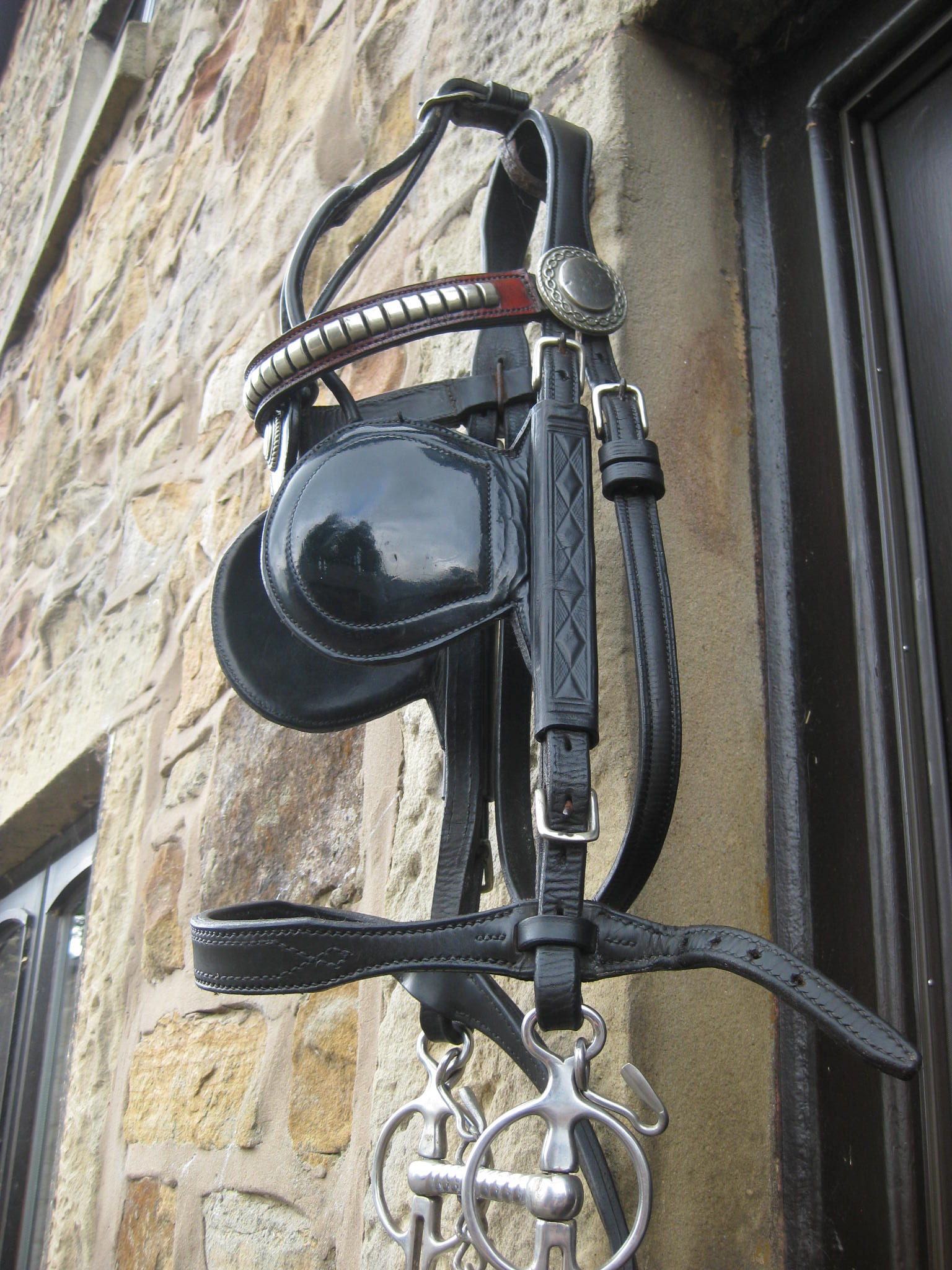 Driving bridle