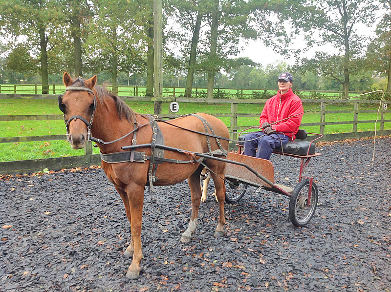 For sale 12h2 ride and drive