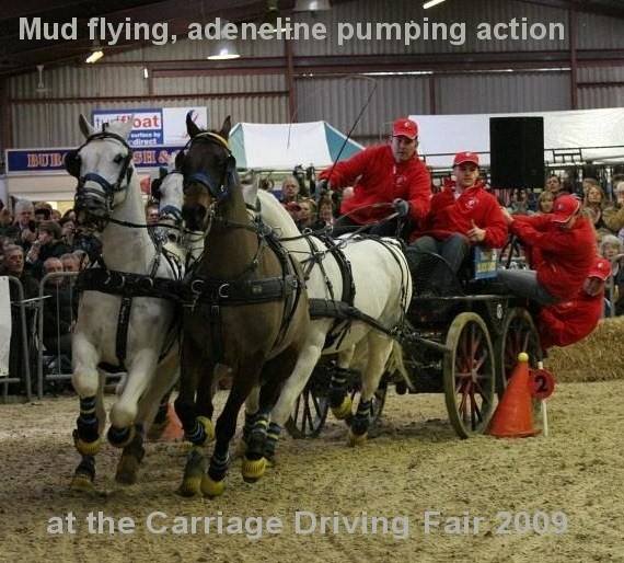 Dick Lane Horse Team Challenge 2008