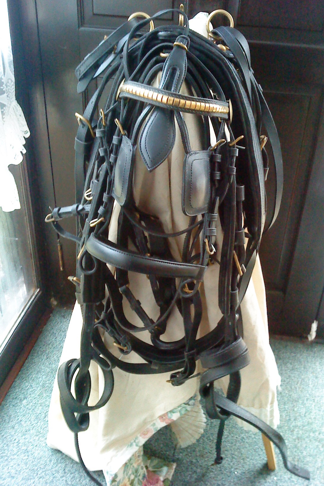 shetland harness