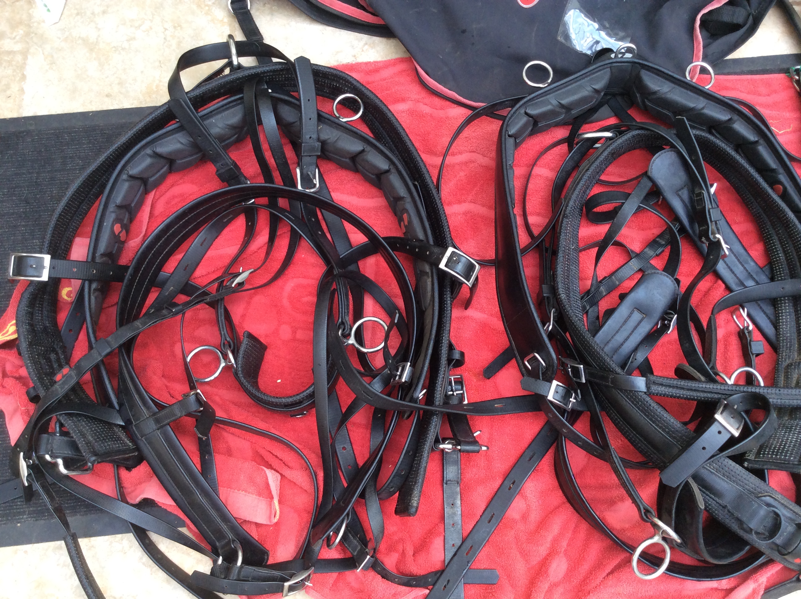 Pairs harness