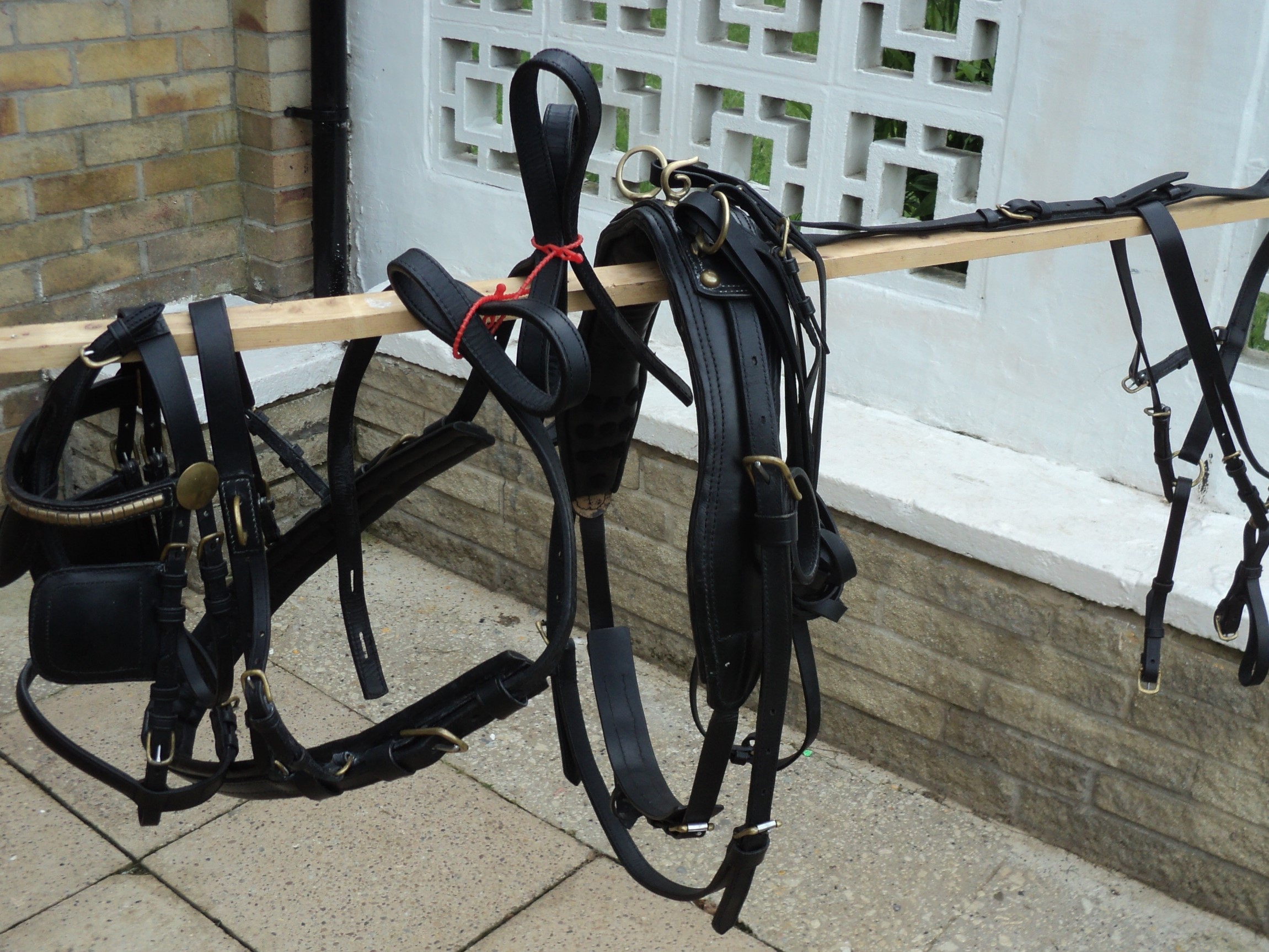 BS HARNESS