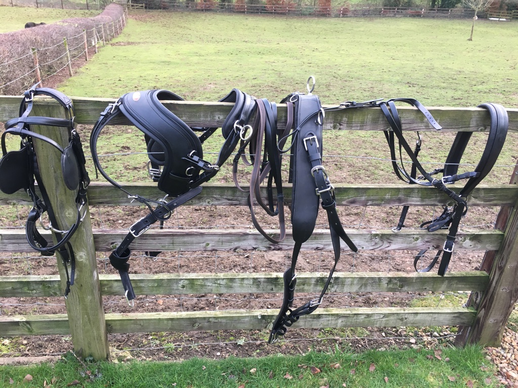 Single pony harness