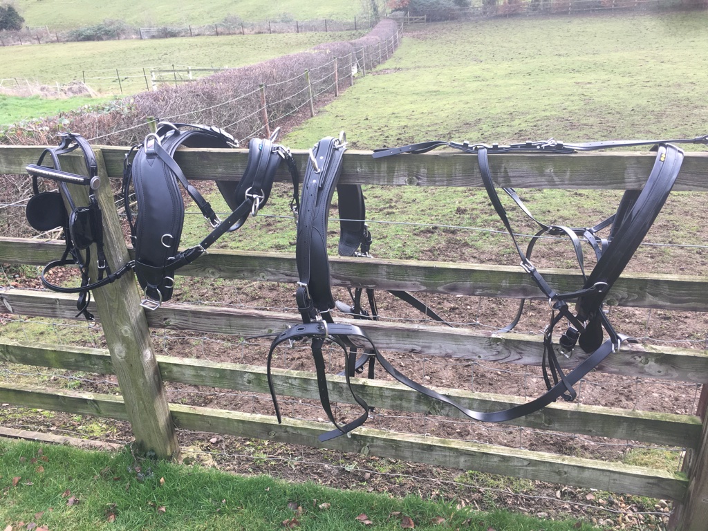Pony pairs presentation harness