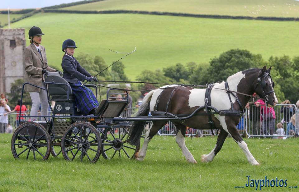 Totnes Show 2017