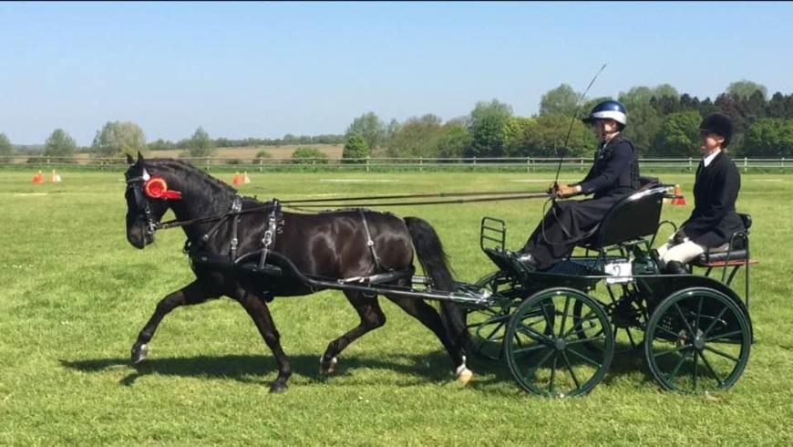 BUSTER - ASHFIELDS NATIONAL 2018