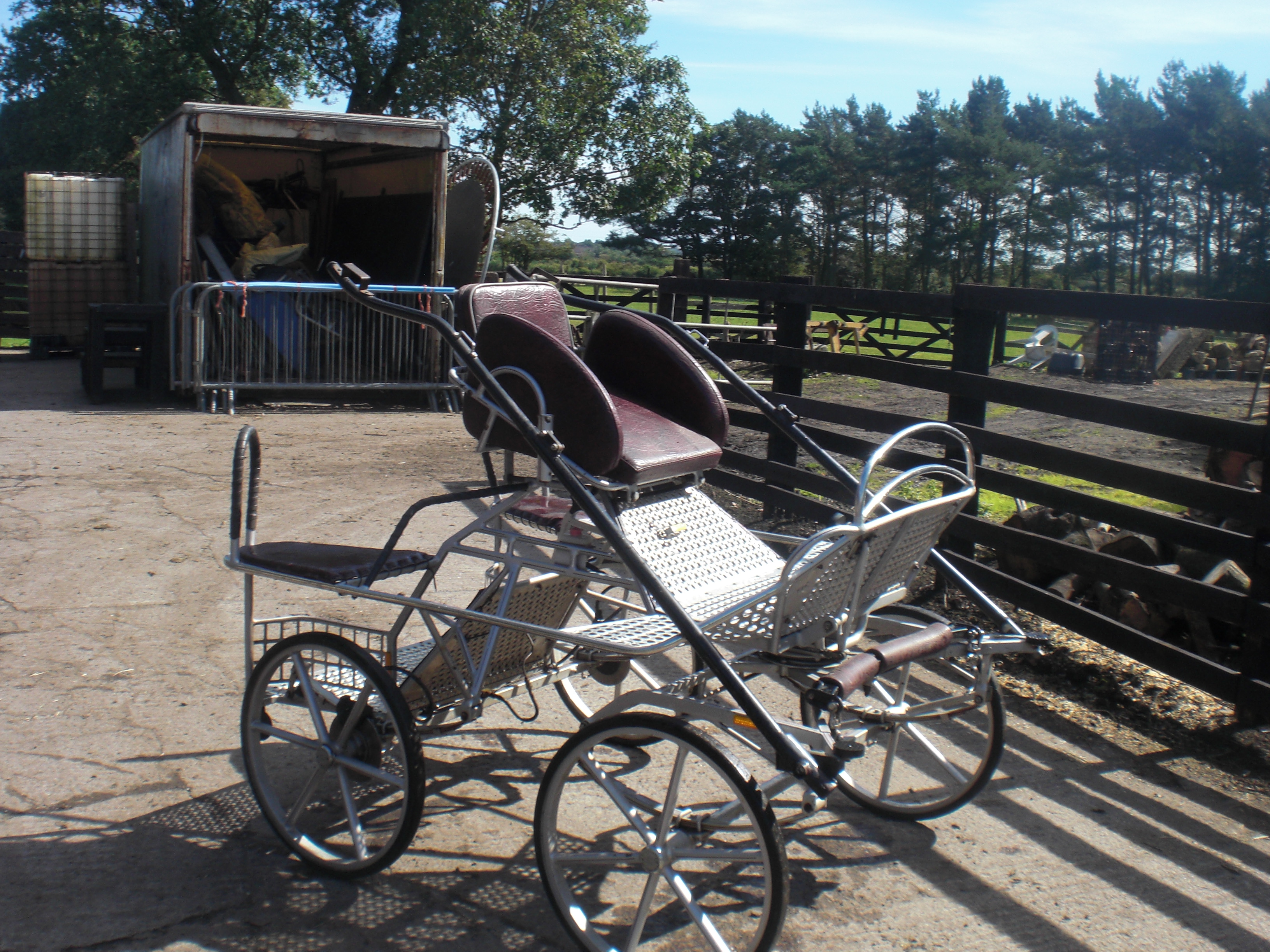 hartland pony
