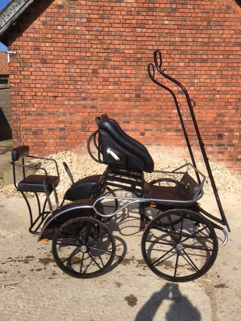 Rene Schoop Carriage