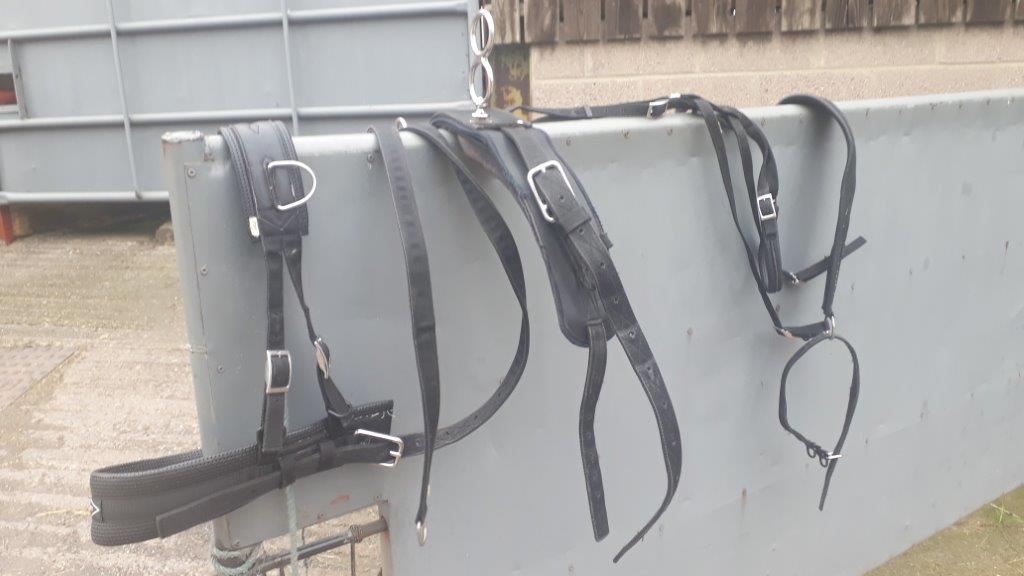 harness