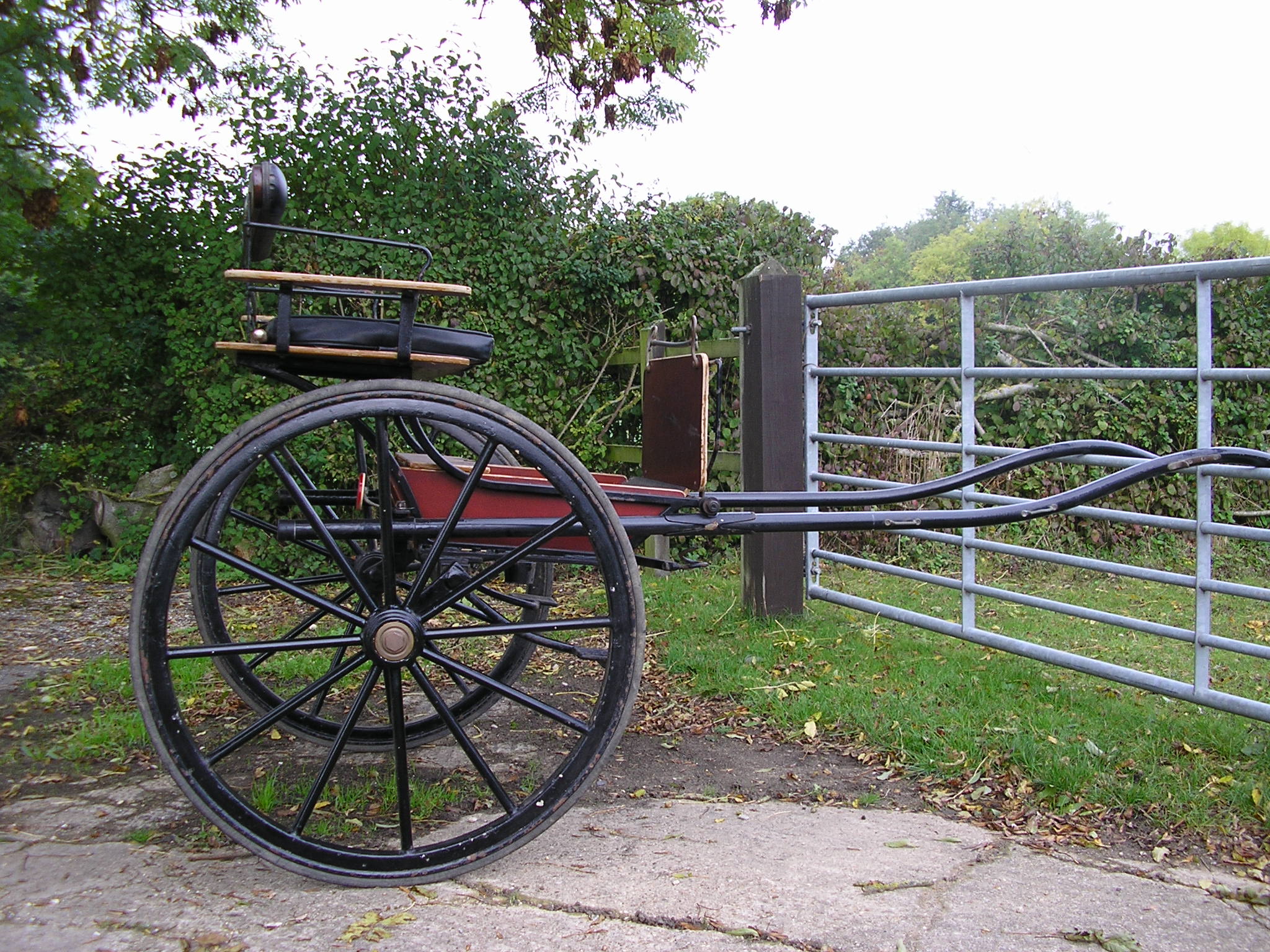 Bennington Buggy